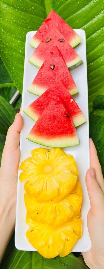 Gikgo 芹苴 外观 照片